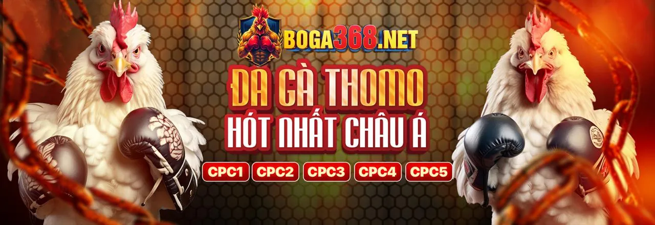 Minh họa các loại cookie khác nhau được eu9vn chính thức sử dụng, nhấn mạnh an ninh kỹ thuật số